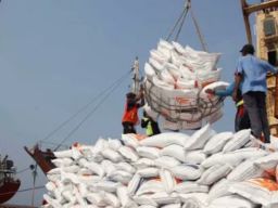 Tak Semanis Janji Jokowi Saat Kampanye, Rencana Impor Beras Dinilai Sebagai Langkah Konyol