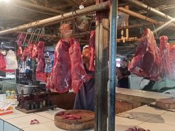 APPHI Dukung Kebijakan Kuota Impor Daging Yang Diberikan Pemerintah
