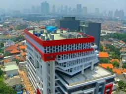 Kantor Redaksi Tempo Kembali Dapat Kiriman Bangkai Hewan, Kali ini Tikus yang Dipenggal