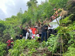 Belum 5 Bulan Jabat Kapolres Kerinci, AKBP Arya T Brahmana Berhasil Ungkap Ladang Ganja