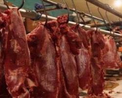 Penuhi Kebutuhan Daging Nasional, Pemerintah Diminta Bangun Sektor Peternakan