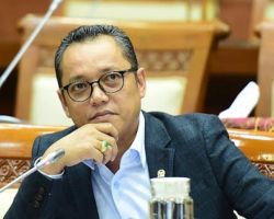 Anggota DPR Usul Pemerintah Bentuk Satgas Minyak Goreng