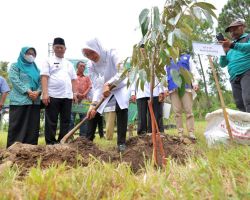 Konservasi Hulu, Ipuk Tanam 32.000 Pohon di Selingkar Gunung Raung dan Ijen