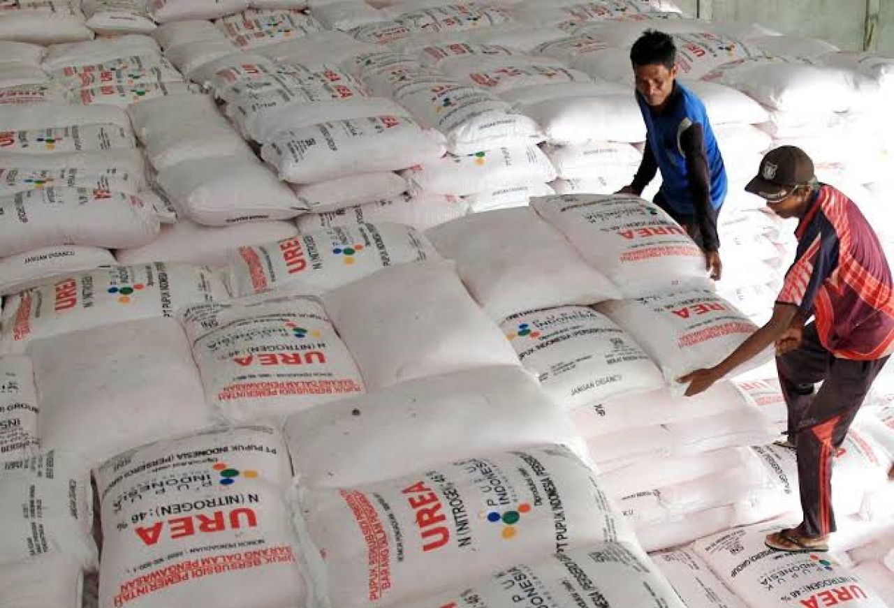 Tata Kelola Pupuk Bersubsidi Bagi Petani Dinilai Amburadul