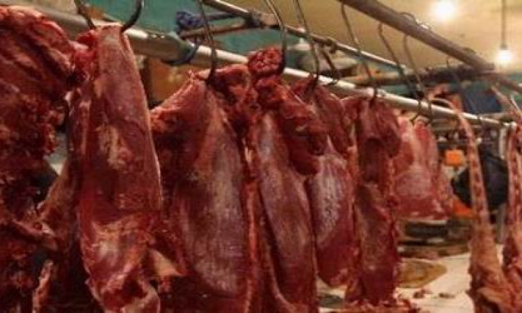 Penuhi Kebutuhan Daging Nasional, Pemerintah Diminta Bangun Sektor Peternakan