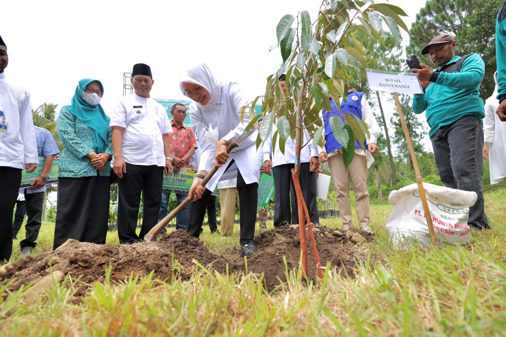 Konservasi Hulu, Ipuk Tanam 32.000 Pohon di Selingkar Gunung Raung dan Ijen